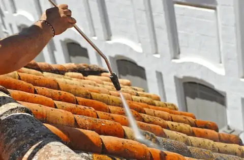 Nettoyage de toitures - Rosel